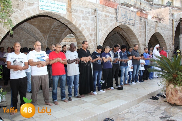 3eed ad7a akber 0510 (29).JPG